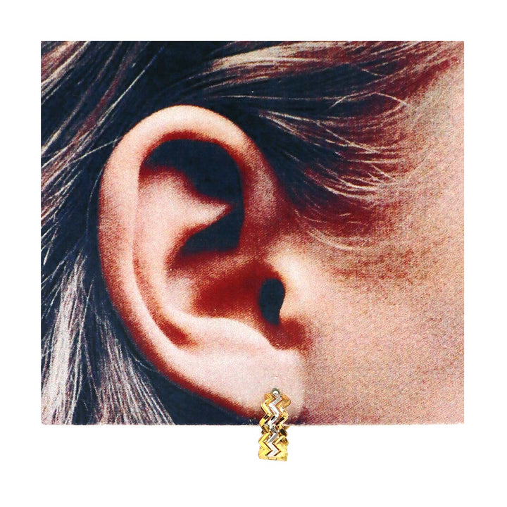 21K Gold Earrings AFE06581
