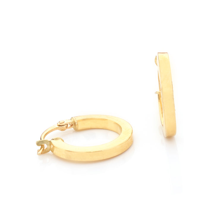A pair of gold hoop earrings shown on a clean white background, with one earring facing forward to show the hinged clasp and the other shown in side profile.