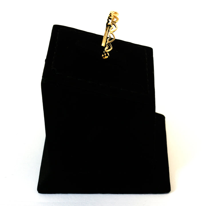 Black pouch with a gold clasp on a white background