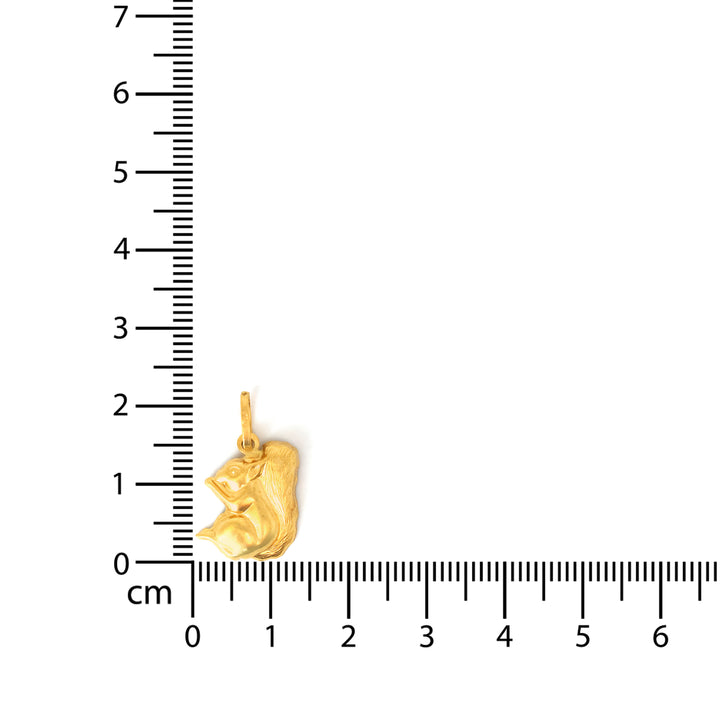 Gold pendant next to a ruler on a white background