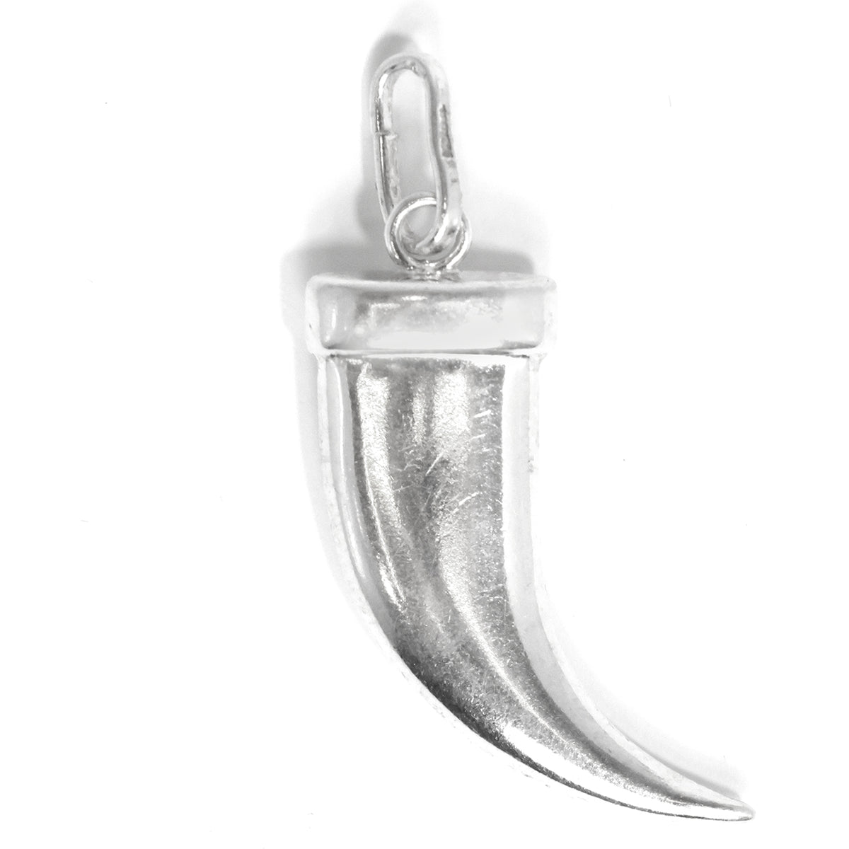 فضة tusk معلقة on white background
