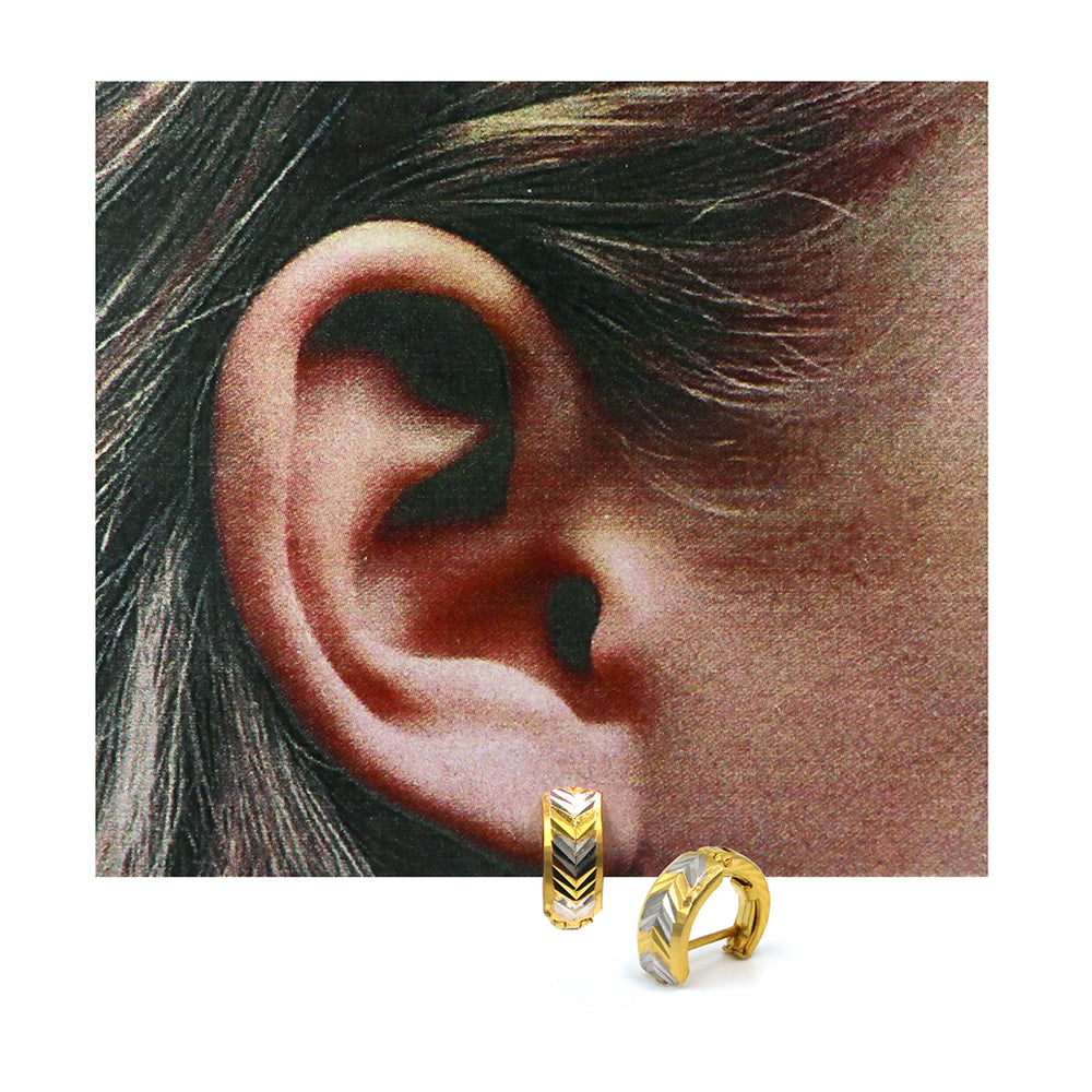 22K Gold Earrings AFE05238 GoldGift