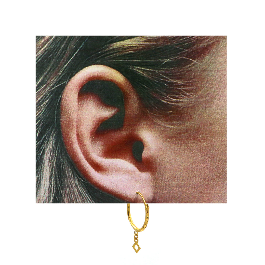 22K Gold Earrings AFE05239 GoldGift