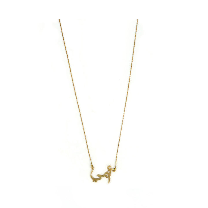 18K Gold Necklace AFN01484