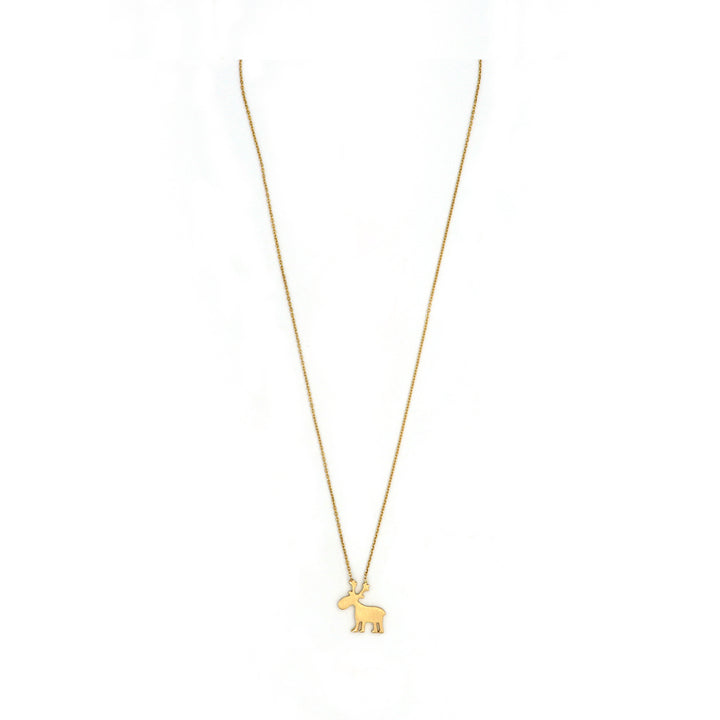 18K Gold Necklace AFN01709